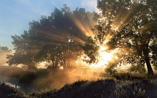 Udskrevet - udskrevet